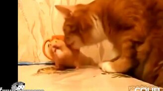 Самые неловкие моменты из жизни - смотреть видео (5:29)