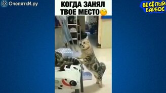 Комизм с животными - смотреть видео (9:57)