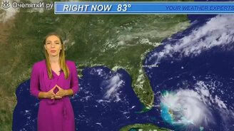 Лучшие милые приколы - смотреть видео (10:17)