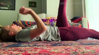 Очень забавные собаки и кошки - смотреть видео (12:01)