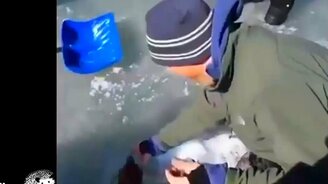 Весёлый юмор из нескольких историй - смотреть видео (5:55)