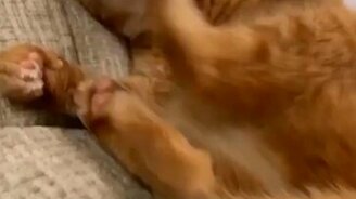 Когда недоволен сам собой - смотреть видео (0:36)