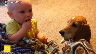 15 задорных и милых собак - смотреть видео (3:01)