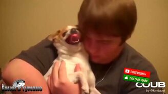 Самые глупые и смешные приколы - смотреть видео (5:40)