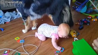 Милые малыши и собаки - смотреть видео (3:20)