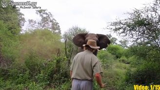 Встречи с дикими животными - смотреть видео (8:47)