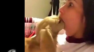 Короткие весёлые видео - смотреть видео (5:32)