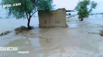 Все катаклизмы за 11 августа 2020 в мире - смотреть видео (7:36)