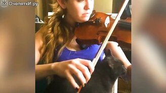 Посмотри и не рассмейся - смотреть видео (6:52)