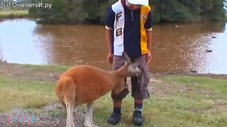 Зверь атакует человека - смотреть видео (9:40)