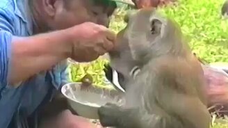 Кто успевает, тот и съедает - смотреть видео (0:15)