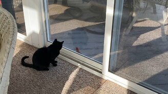 Игры через стекло - смотреть видео (1:09)