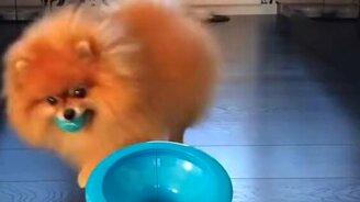 Горшочек, вари! - смотреть видео (0:50)