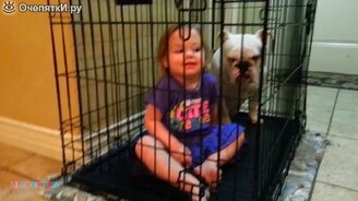 Добрые собаки и смешные детки - смотреть видео (9:46)