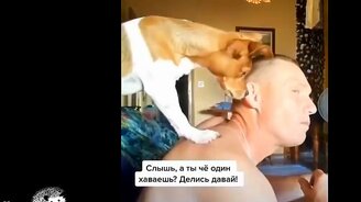 Разные смешные коубы - смотреть видео (7:35)