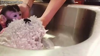 Топ-30 приколов за август - 2020 - смотреть видео (11:27)