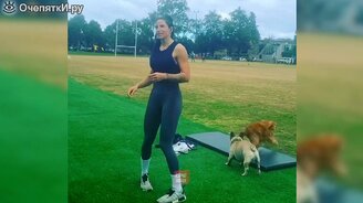 Весёлые питомцы радуют глаз - смотреть видео (10:31)