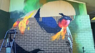 Рисование попугая на стене - смотреть видео (0:33)