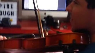 Попугай наслаждается скрипкой - смотреть видео (0:23)