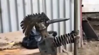 Металлический дятел - смотреть видео (0:17)