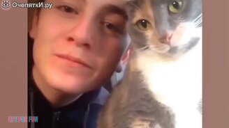 Задорные и милые кошки и собаки - смотреть видео (7:41)