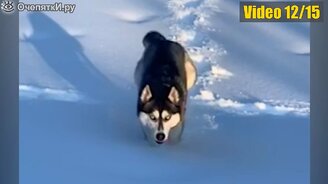 15 моментов, которые стоит увидеть - смотреть видео (2:59)