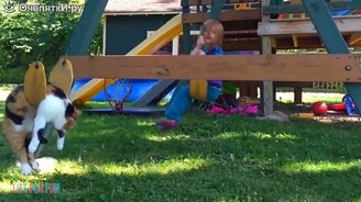 Дети против кошек - смотреть видео (7:46)