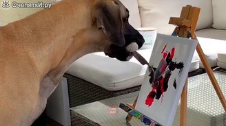 Неожиданные решения и нестандартный подход - смотреть видео (9:58)