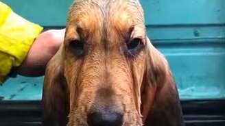 Фантастические морщины - смотреть видео (0:10)