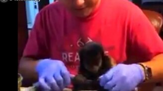 Весёлые моменты с работы - смотреть видео (10:55)