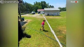 Неожиданности со смешными питомцами - смотреть видео (3:36)