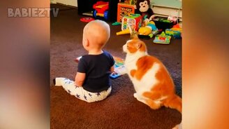 Малыши и коты играют вместе - смотреть видео (3:21)