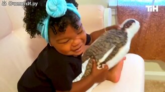 Топ приколов за недельку - смотреть видео (12:52)