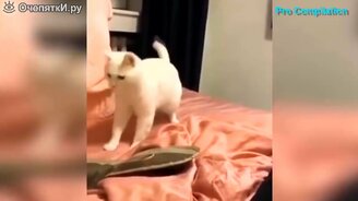 Внезапные смешные моменты - смотреть видео (3:48)