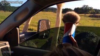 Люди чудят и смеются - смотреть видео (7:46)