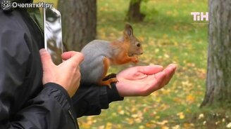 Полазучие зверушки - смотреть видео (3:01)