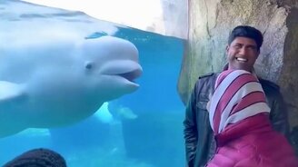 Дети и зверушки в зоопарках - смотреть видео (10:17)