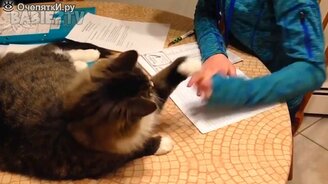 Детвора играет с питомцами - смотреть видео (4:02)