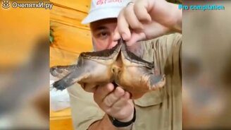 То, чего совсем не ожидали - смотреть видео (5:05)