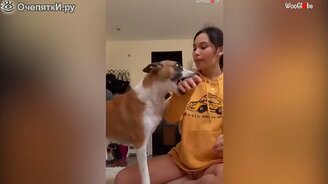 Что же могло пойти не так? - смотреть видео (2:56)