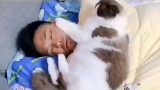 Видео со смешными питомцами - смотреть видео (8:03)