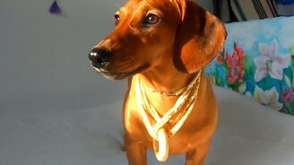 Невкусные огурцы и чужой - смотреть видео (1:23)