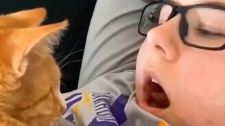 Забавные звери в сборнике приколов - смотреть видео (9:10)