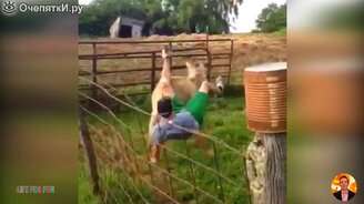 Смешные домашние и дикие животные - смотреть видео (7:52)