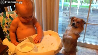 Детки против собак - смотреть видео (2:45)