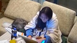 Смешные кошки и коты - смотреть видео (6:00)