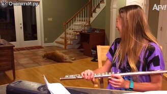 Провалы людей с соскальзыванием - смотреть видео (9:34)