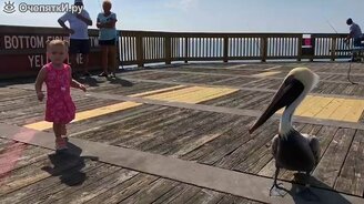 Питомцы атакуют, дети защищаются - смотреть видео (2:42)