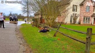 Прикольные безумства - 2020 - смотреть видео (8:15)