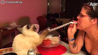 В новый год с новыми приколами - смотреть видео (8:22)